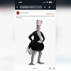 Ostrich costume